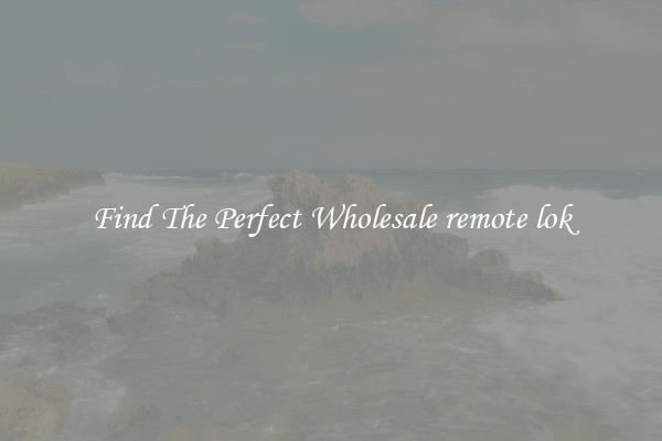 Find The Perfect Wholesale remote lok