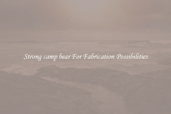 Strong camp bear For Fabrication Possibilities