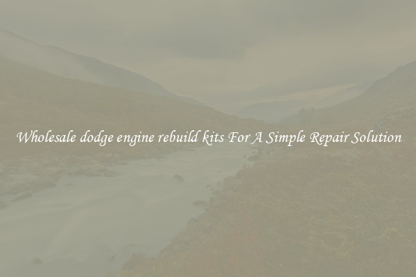 Wholesale dodge engine rebuild kits For A Simple Repair Solution