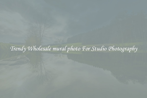 Trendy Wholesale mural photo For Studio Photography