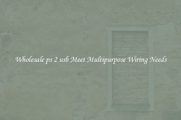 Wholesale ps 2 usb Meet Multipurpose Wiring Needs