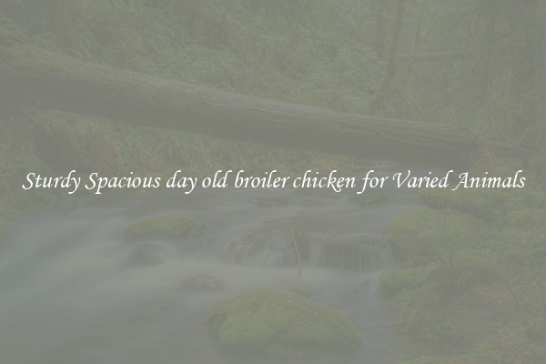 Sturdy Spacious day old broiler chicken for Varied Animals