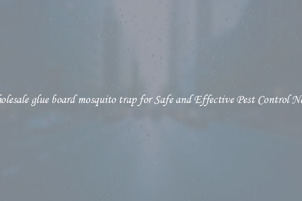 Wholesale glue board mosquito trap for Safe and Effective Pest Control Needs