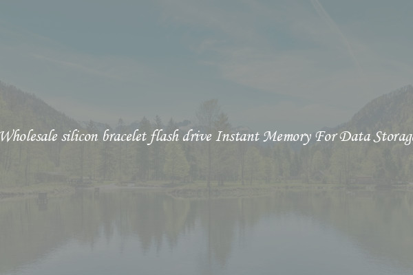 Wholesale silicon bracelet flash drive Instant Memory For Data Storage
