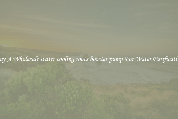 Buy A Wholesale water cooling roots booster pump For Water Purification