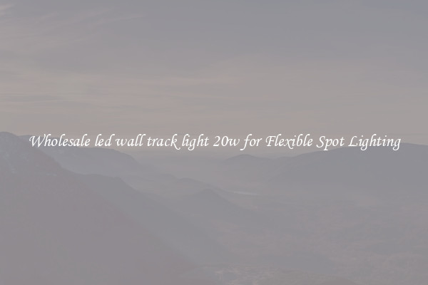 Wholesale led wall track light 20w for Flexible Spot Lighting