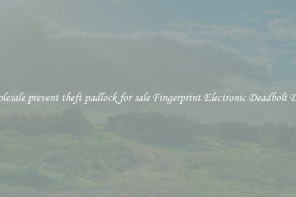 Wholesale prevent theft padlock for sale Fingerprint Electronic Deadbolt Door 