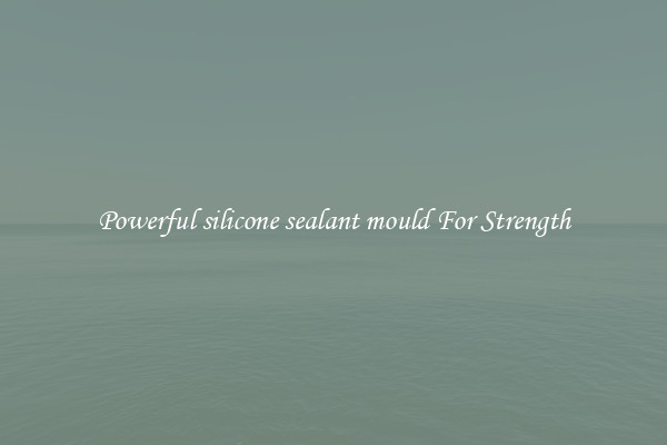 Powerful silicone sealant mould For Strength