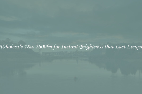 Wholesale 18w 2600lm for Instant Brightness that Last Longer