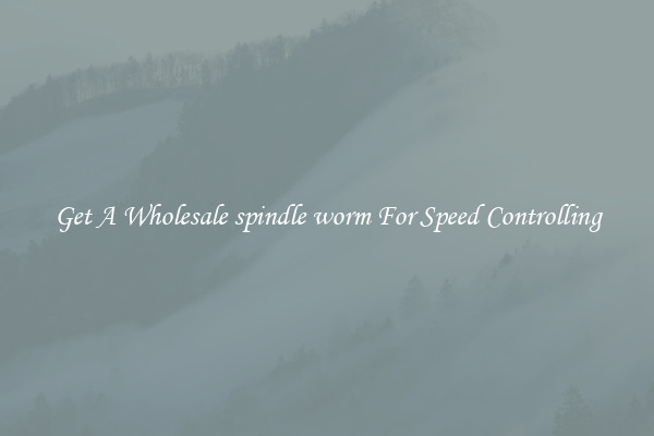Get A Wholesale spindle worm For Speed Controlling