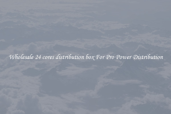 Wholesale 24 cores distribution box For Pro Power Distribution