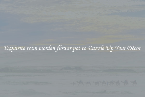 Exquisite resin morden flower pot to Dazzle Up Your Décor 
