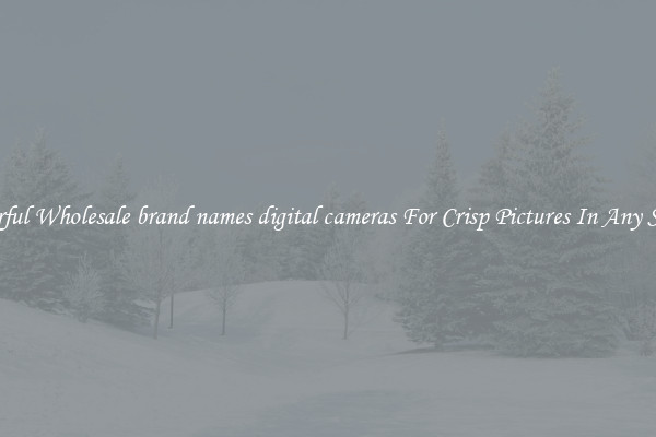 Powerful Wholesale brand names digital cameras For Crisp Pictures In Any Setting