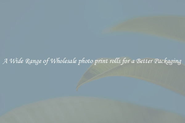 A Wide Range of Wholesale photo print rolls for a Better Packaging 
