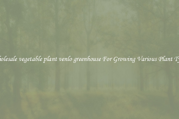 Wholesale vegetable plant venlo greenhouse For Growing Various Plant Types