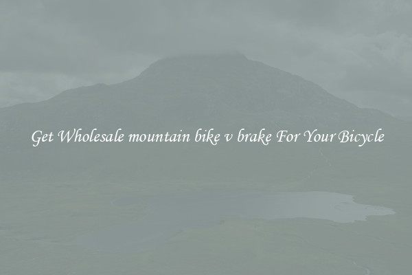 Get Wholesale mountain bike v brake For Your Bicycle