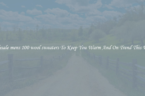 Wholesale mens 100 wool sweaters To Keep You Warm And On Trend This Winter