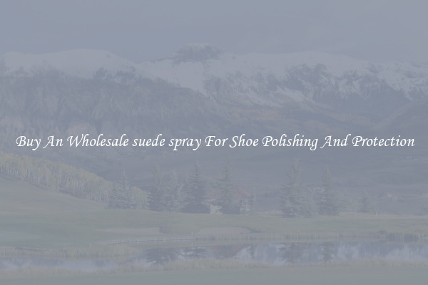 Buy An Wholesale suede spray For Shoe Polishing And Protection