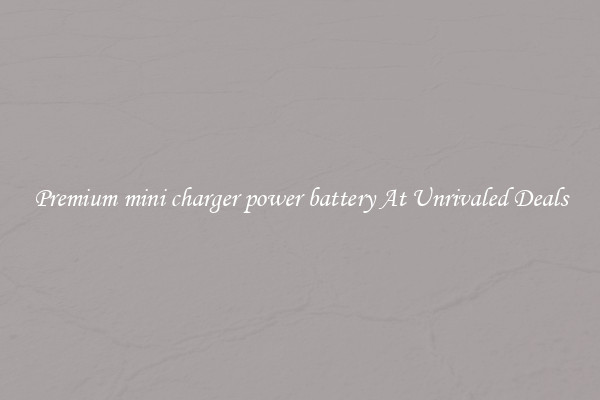 Premium mini charger power battery At Unrivaled Deals